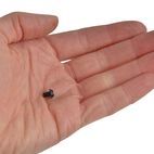 Trend RT/3.5 TORX Replacement Screws additional 2