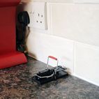 Rentokil Advanced Mouse Trap additional 2