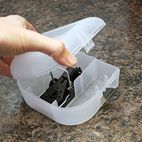 Rentokil Enclosed Mouse Trap additional 3