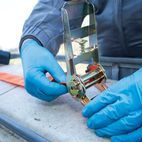 BlueSpot Tools Ratchet Tie-Down additional 6