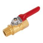 Sealey SA906 Lever Ball Valve 1/4"BSPT (M) x 1/4"BSP (F) additional 1