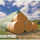 Roughneck Ground Anchor additional 8