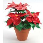 Shurtape Duck Tape® Colours &amp; Patterns additional 21