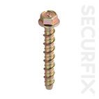 Securfix Trade Pack Concrete Bolt 10 Pack additional 2