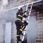 Telesteps Rescue Line Telescopic Ladder additional 5