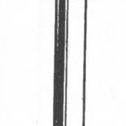 Picardy Round Wire Nails additional 1