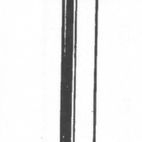 Picardy Round Wire Nails additional 4