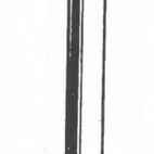 Picardy Galvanised Round Wire Nails additional 1