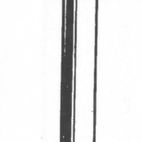 Picardy Galvanised Round Wire Nails additional 2