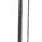 Picardy Galvanised Round Wire Nails additional 3