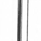 Picardy Galvanised Round Wire Nails additional 4