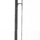 Picardy Galvanised Clout Nails additional 4