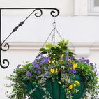 RBUK Ornamental Scroll Bracket Black additional 2