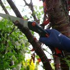 Wilkinson Sword 1111295WG Folding Saw And Pruner additional 3