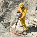 Bosch GSH 16-28 Professional Road Breaker 1750W 110V additional 2