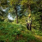 Metabo FSB 36-18 LTX BL 40 Bike Handle Line Trimmer 36V Bare Unit additional 3