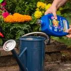 Westland Boost All Purpose Liquid Plant Feed 1 litre additional 2