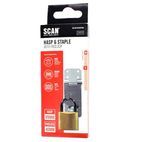 Scan Hasp and Staple + Padlock additional 4