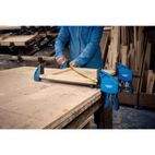 Draper 18930 Draper Expert Heavy Duty Bar Clamp, 450mm additional 4