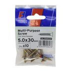 ForgeFix Multi-Purpose Screws, Pozi, CSK, ZYP, ForgePack additional 6