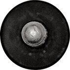 Body Trim Rivets additional 5