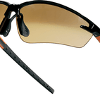 DELTAPLUS Twin Lens Safety Glasses additional 1