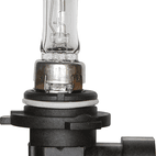 HB4 Cap P22d additional 1