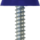Number Plate Fasteners - Self-Tappers with Domes and Cups additional 1