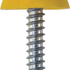 Number Plate Fasteners - Self-Tappers with Domes and Cups additional 4