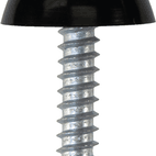 Number Plate Fasteners - Self-Tappers with Domes and Cups additional 2