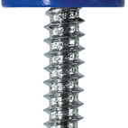 Number Plate Fasteners - Self-Tappers with Hinged Caps additional 4