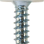 Number Plate Fasteners - Self-Tappers with Plastic Head - Short additional 2