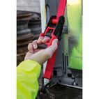 Sealey TD41248JD Ratchet Tie Down 32mm x 4.9m Polyester Webbing with J Hooks 1200kg Load Test - 2 Pairs additional 3