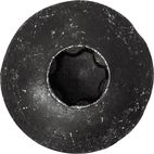 TX Body Screws additional 3