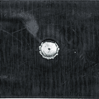 Wing Clips additional 2