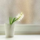 d-c-fix® Static Cling Window Film Ilva additional 2