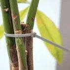 Faithfull Cable Ties, Grey additional 7