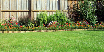 Shrubs,And,Flowers,In,A,Border,Surrounded,By,A,Wooden
