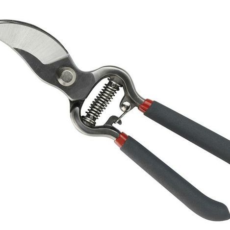 Secateurs