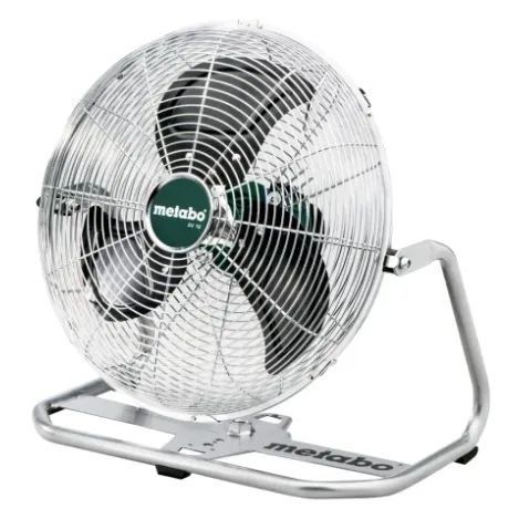 Fans
