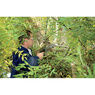 Draper 44997 Soft Grip Pruning Saw (500mm) additional 2