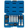 Draper 31913 Alternator Pulley Tool Kit (13 Piece) additional 1