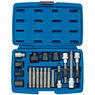 Draper 31921 Alternator Pulley Tool Kit (18 Piece) additional 1