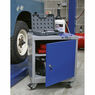 Sealey API5659 Mobile Industrial Cabinet 1 Shelf Locker additional 5