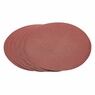 Draper 72231 Five 100 Grit Hook and Eye Backed Aluminium Oxide (230mm) additional 2