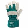 Draper Premium Leather Gardening Gloves additional 3