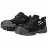 Draper Trainer Style Safety Shoe S1 P SRC additional 11