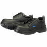 Draper 100% Non-Metallic Composite Safety Shoe (S1-P-SRC) additional 1