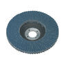 Sealey FD10040 Flap Disc Zirconium &#8709;100mm 16mm Bore 40Grit additional 1