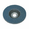 Sealey FD10060 Flap Disc Zirconium &#8709;100mm 16mm Bore 60Grit additional 1